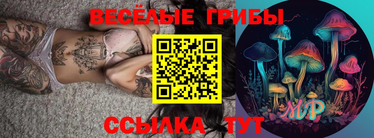 Псилоцибиновые грибы прущие грибы  Вход с VPN  Дзержинский 